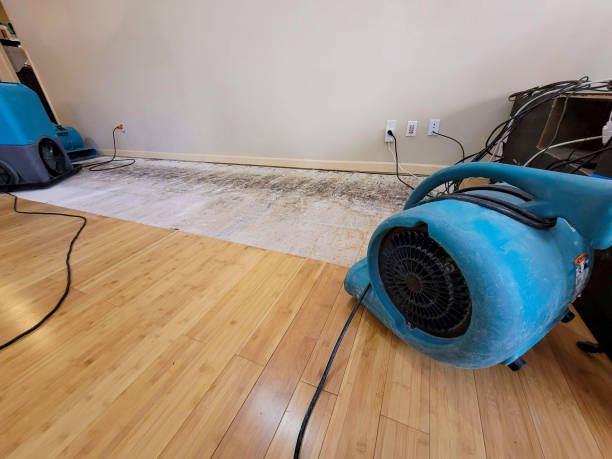Professional Sewage Cleanup technician working in Plainview, MN